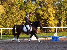 IMG_7846_web